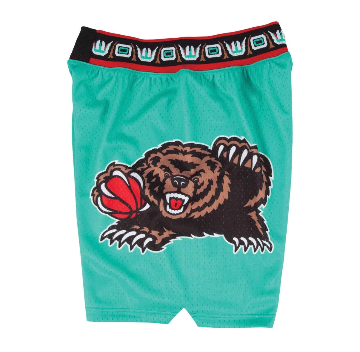 Mitchell and Ness Vancouver Grizzlies 95-96 NBA Basketball Shorts