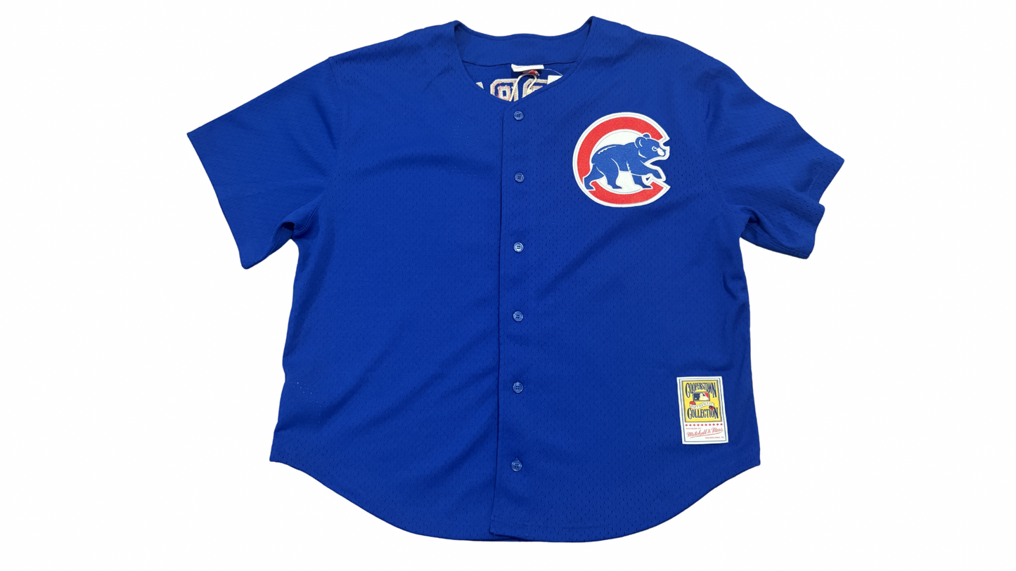 Mitchell & Ness Ryne Sandberg Chicago Cubs 1997 Authentic Batting Practice Jersey